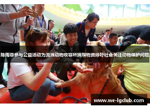 陈雨菲参与公益活动为流浪动物收容所捐赠物资呼吁社会关注动物保护问题 陈雨菲参与公益活动为流浪动物收容所捐赠物资呼吁社会关注动物保护问题