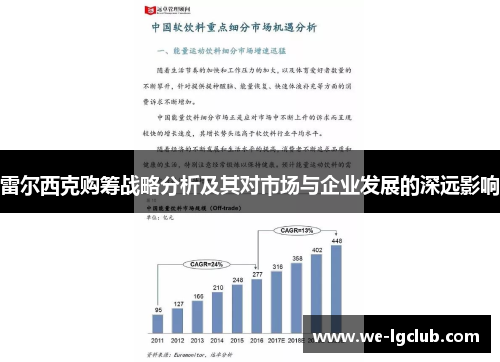 雷尔西克购筹战略分析及其对市场与企业发展的深远影响 雷尔西克购筹战略分析及其对市场与企业发展的深远影响